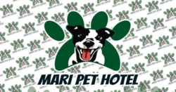 Mari Pet Hotel