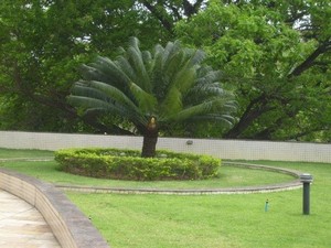 Controle de Pragas em Jardins