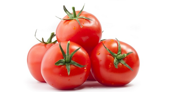 Tomate Kg