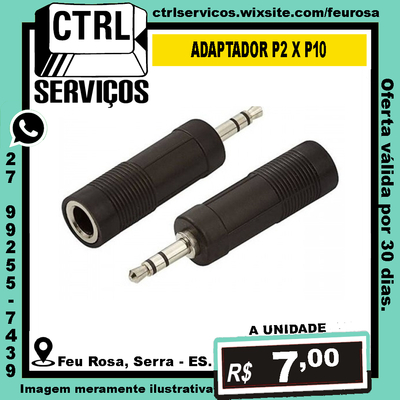 ADAPTADOR P10-F X P2-M