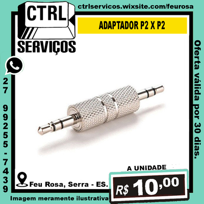 ADAPTADOR P2 X P2