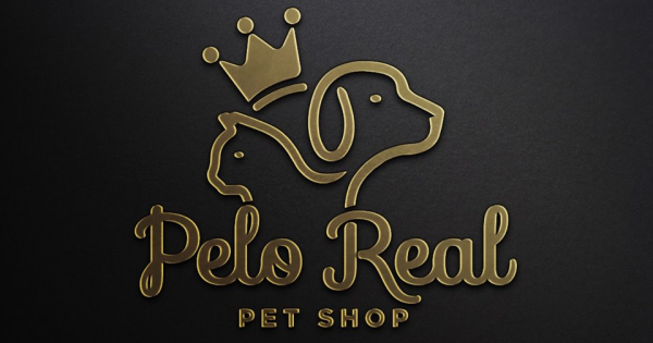 Hotelzinho para Animais Grande Porte