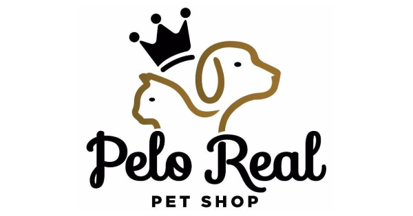 Hotelzinho para Animais Pequeno Porte
