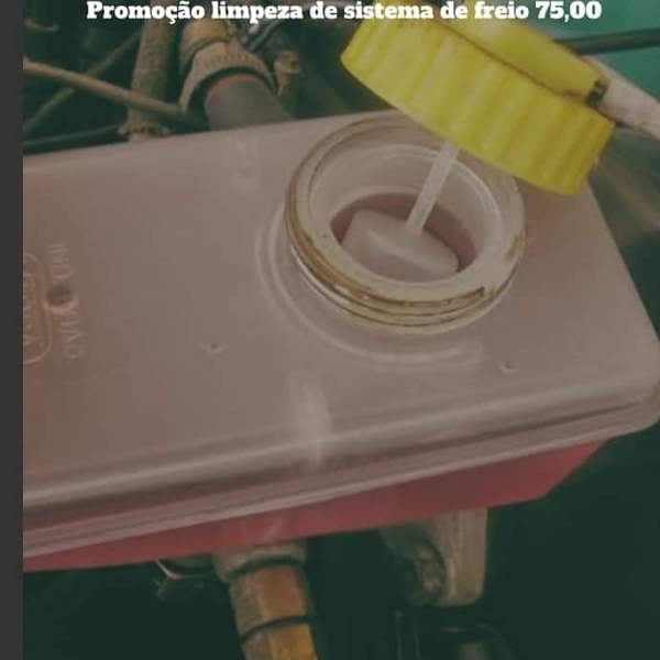 Limpeza do Sistema de Freio