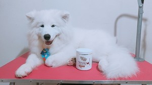 Banho para animais grandes
