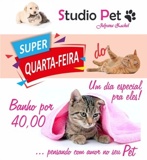 Quarta de gato