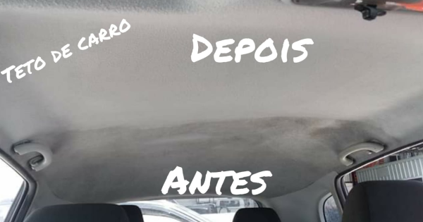 Limpeza e Higienização de Teto, Portas e Carpetes de Carro
