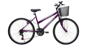 Bicicleta Feminina Aro 26