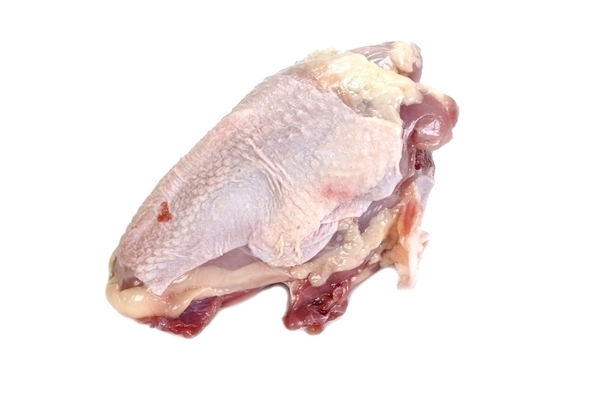 Dorso kg