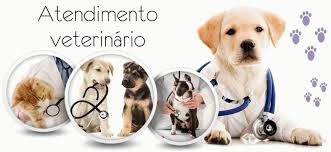 ATENDIMENTO VETERINÁRIO