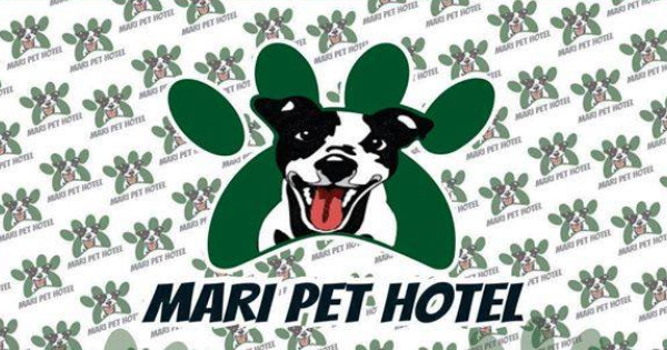 Mari Pet Hotel